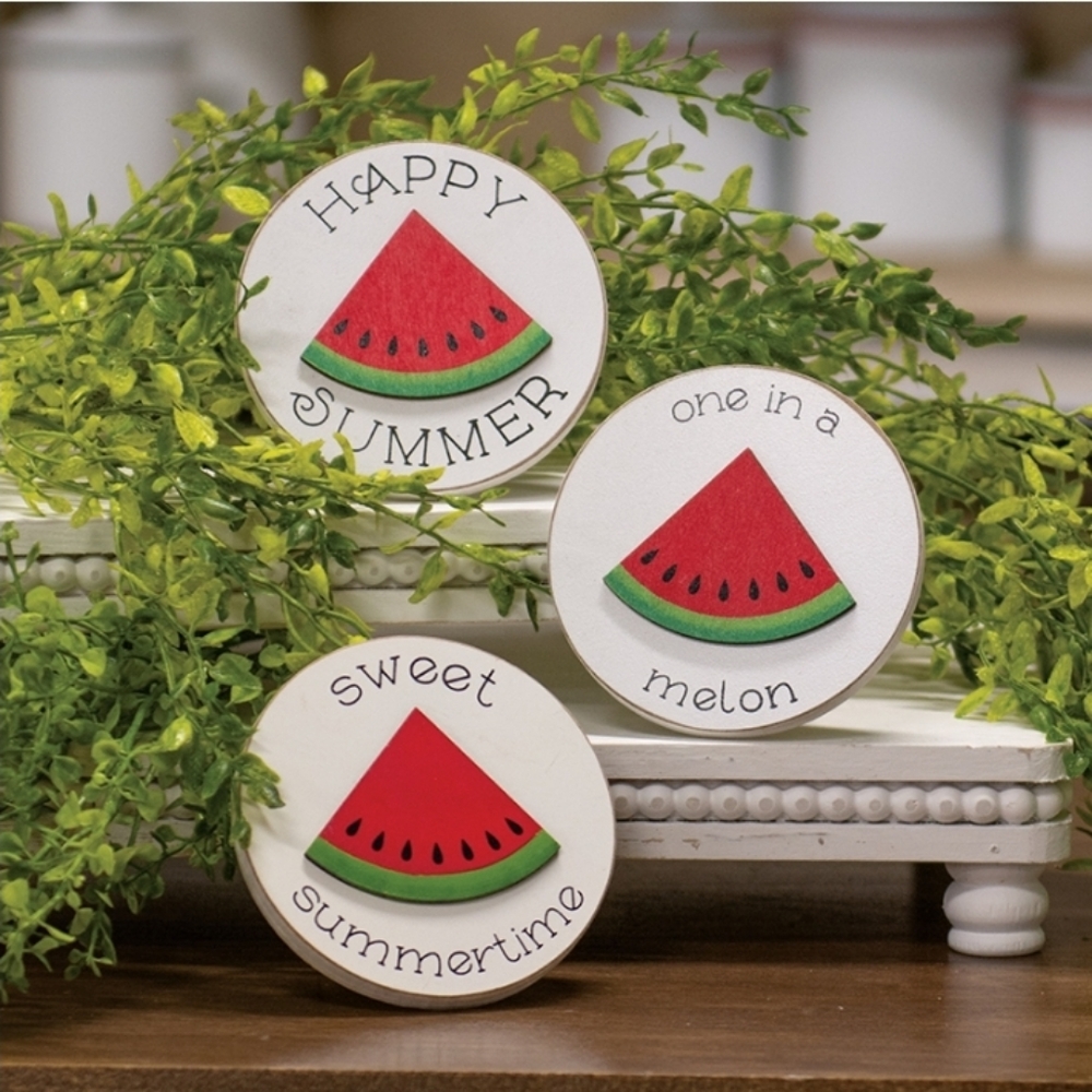 Set of 3 Summer/Watermelon Themed Round Easel Signs